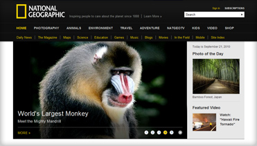 自动攻击网站工具下载